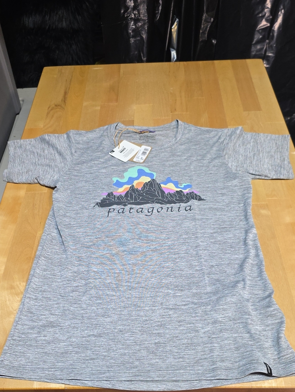 Patagonia Light Gray Heather Tee with Multicolor Mountain Graphic